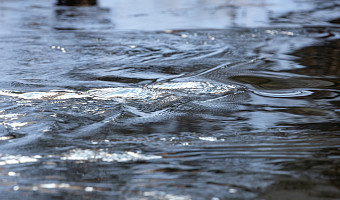 Миляев о паводке в Тульской области: половина подтопленных участков дорог освободилась от воды