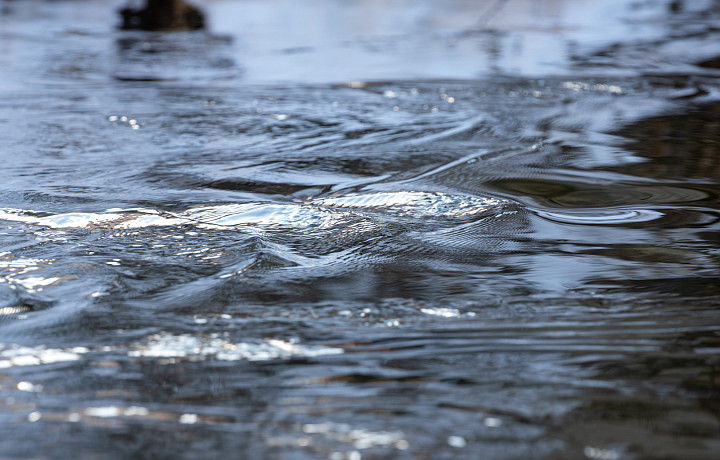 Миляев о паводке в Тульской области: половина подтопленных участков дорог освободилась от воды