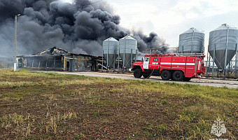 Площадь пожара на «Воловском бройлере» составила 1500 квадратных метров