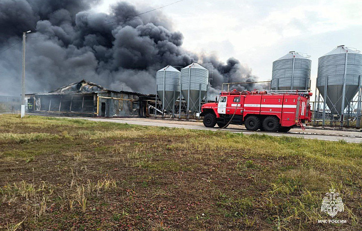 Площадь пожара на «Воловском бройлере» составила 1500 квадратных метров
