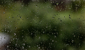 Туляков ждет дождливая и прохладная погода в субботу, 23 августа