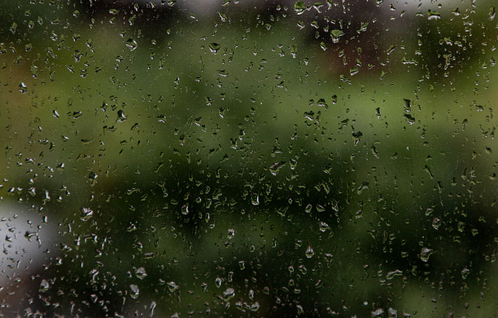 Туляков ждет дождливая и прохладная погода в субботу, 23 августа