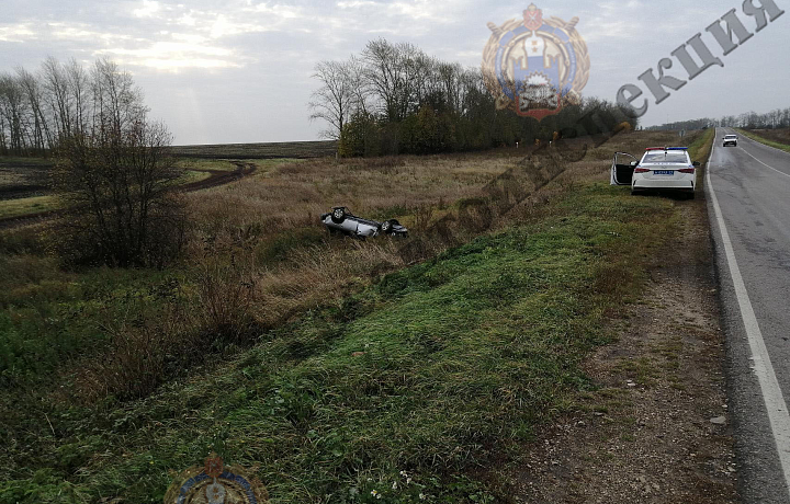 Нетрезвый водитель Audi вылетел с дороги и перевернулся в Куркинском районе