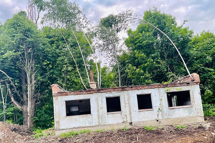 Эксперт рассказал, чем опасны березы, растущие на крыше