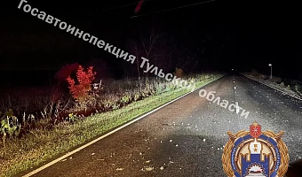 Два человека пострадали в ДТП из-за пьяного водителя в Богородицком районе