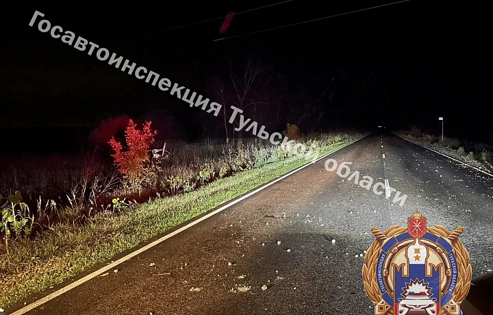 Два человека пострадали в ДТП из-за пьяного водителя в Богородицком районе