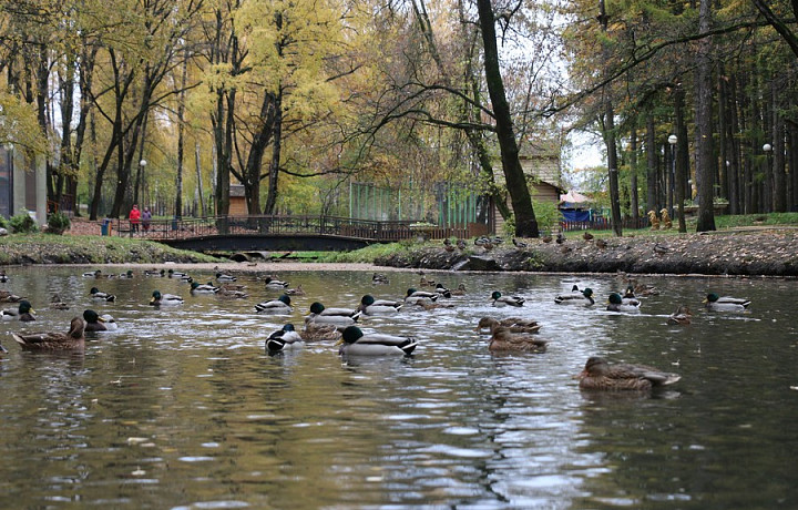 В Детском парке Новомосковска заменили водоснабжающее оборудование