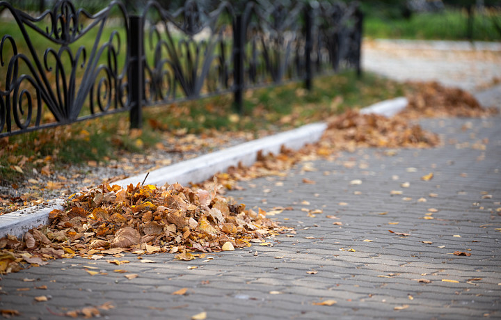 Народные приметы 25 октября: почему нельзя убираться в день Андрона Звездочета