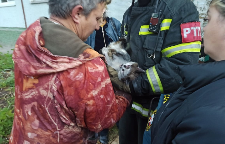 На пожаре в Туле на улице Юлиуса Фучика эвакуировали 15 человек