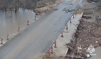 Подтопления отступают: в Тульской области первый мост вышел из-под воды