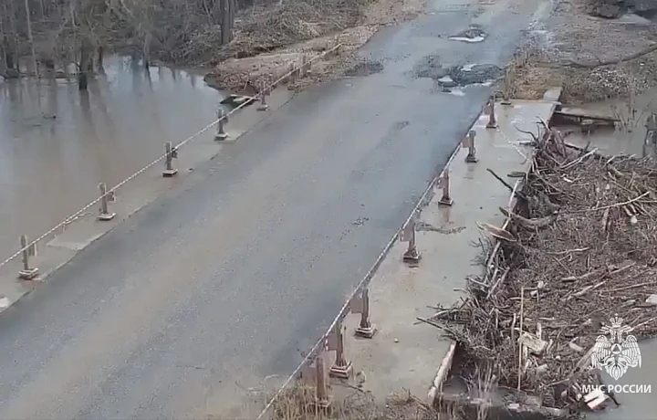 Подтопления отступают: в Тульской области первый мост вышел из-под воды