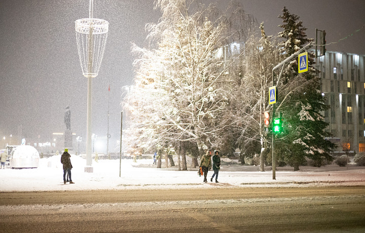 Снегопад пришел в Тульскую область раньше прогнозов