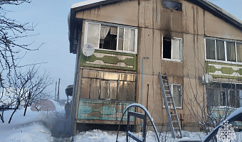 Двое пенсионеров погибли в пожаре на улице Мира в поселке Ревякино Ясногорского района