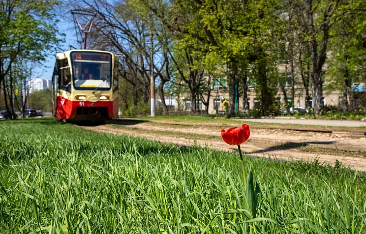 «С первого августа этот ад подорожает»: зампред тульской Облдумы высказался о проблемах с кондиционерами в транспорте