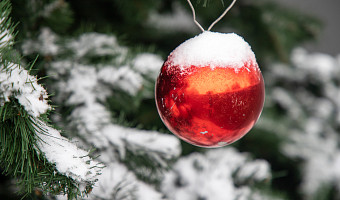 Роспотребнадзор дал тулякам рекомендации по выбору новогодних украшений