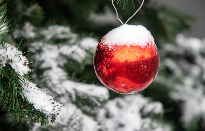 Роспотребнадзор дал тулякам рекомендации по выбору новогодних украшений