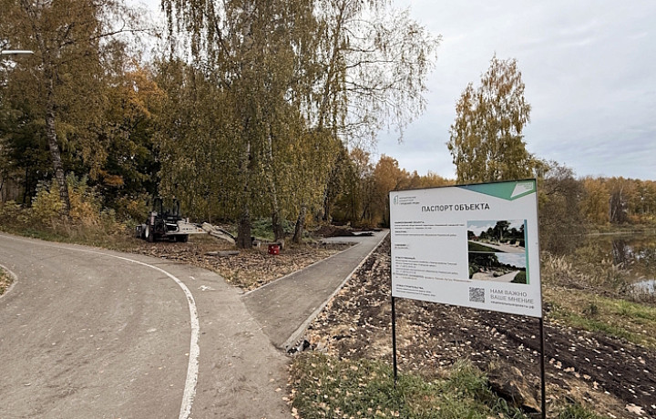 В Киреевске заасфальтировали пешеходные дорожки в городском парке