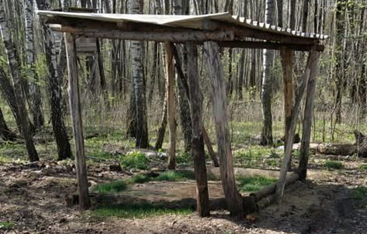 Тульская природоохранная прокуратура нашла нарушения в охотхозяйстве «Плавское»