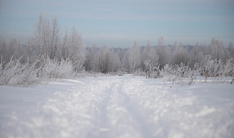 В Тульской области 5-6 февраля ожидается аномально-холодная погода