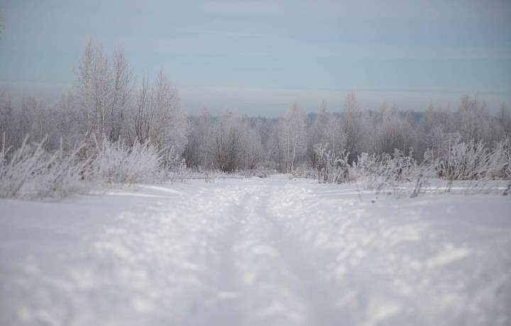 В Тульской области 5-6 февраля ожидается аномально-холодная погода