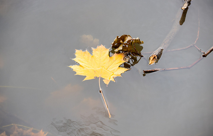 Температурная «горка»: синоптик рассказал, какая погода будет в Тульской области с 30 октября по 3 ноября