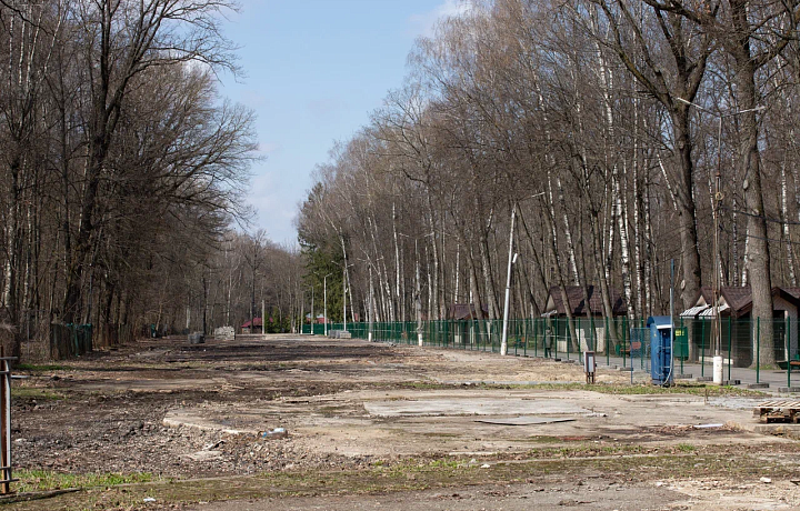 В Тульской области 3 апреля объявлено метеопредупреждение из-за сильного ветра