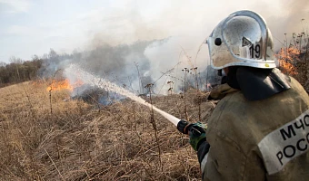 На жителя Тульской области, который случайно сжег поле в четыре гектара, власти подали иск на 25 миллионов рублей