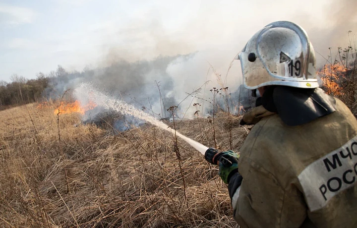 На жителя Тульской области, который случайно сжег поле в четыре гектара, власти подали иск на 25 миллионов рублей