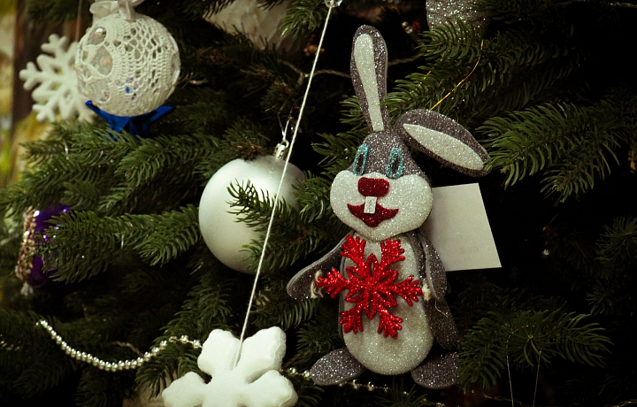 Выставка «Зоологическая елка» откроется в тульском экзотариуме 30 декабря