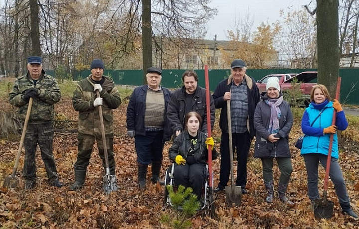 В Ясногорском городском парке высадили молодые саженцы сосны