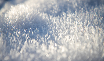 Синоптики прогнозируют более теплую, но опасную зиму в Тульской области