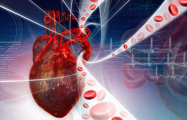 ​​28 сентября тульские медики расскажут о профилактике болезней сердца на прямом эфире «Отвечают врачи»