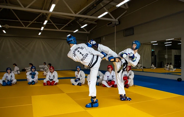 Тульский чемпионат по тхэквондо соберет свыше 600 участников