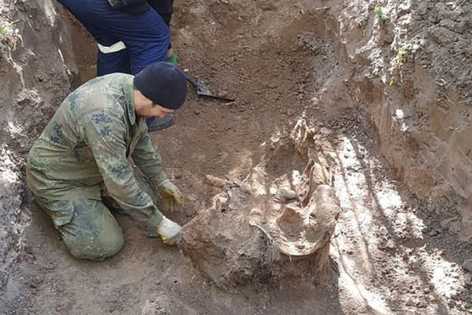 Поисковики из тульского отряда «Цитадель» обнаружили под Калугой останки двух красноармейцев