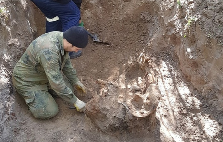 Поисковики из тульского отряда «Цитадель» обнаружили под Калугой останки двух красноармейцев