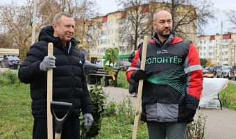В Новомосковске на улице Космонавтов продолжается расширение зеленой аллеи