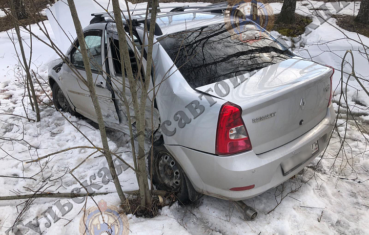 Водитель автомобиля Renault Logan погиб на месте ДТП в Арсеньевском районе