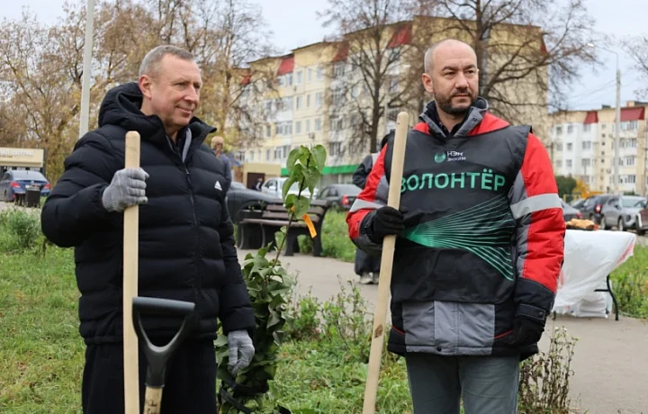 В Новомосковске на улице Космонавтов продолжается расширение зеленой аллеи