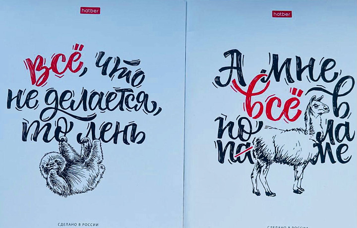 Родители российских школьники пожаловались на неподобающие обложки тетрадей