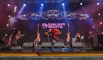 Группа Sula fray открыла музыкальную программу «Дикой Мяты»