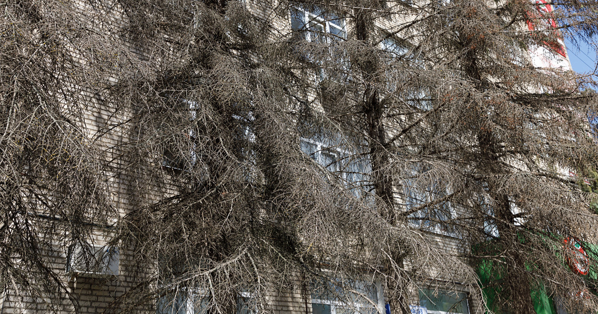 новости тулы тсн