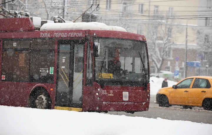 Администрация Тулы о температуре в транспорте в сильные морозы: Не менее 12 градусов