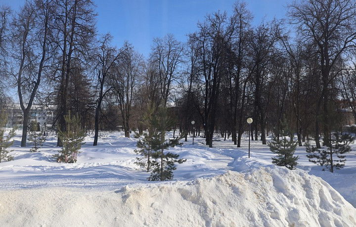 В Новомосковске проведут благоустройство сквера ХХХ-летия ВЛКСМ