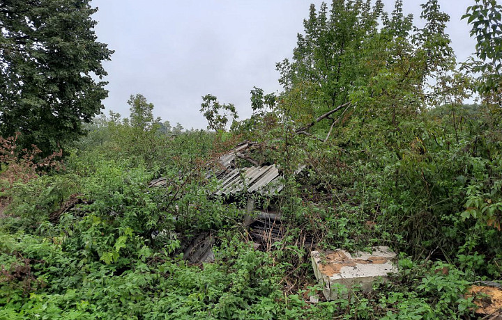 В Плавском районе прокуратура Тульской области обнаружила стихийную свалку