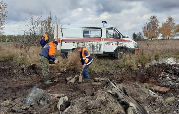 Спасатели обезвредили минометные мины времен ВОВ, найденные в Туле и Щекинском районе