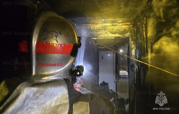 За сутки спасатели потушили три пожара в Тульской области