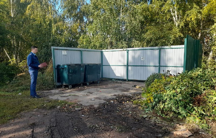 Прокуратура организовала проверку в Донском из-за ненадлежащего содержания мусорных контейнеров