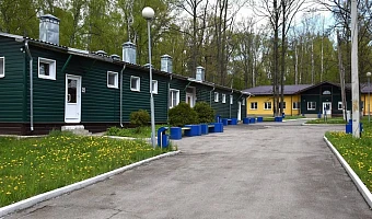 Территорию тульского лагеря «Орлёнок» благоустроят за 38 млн рублей