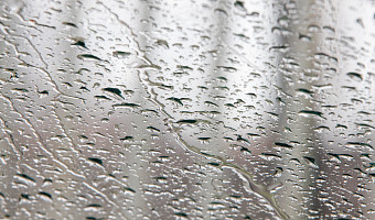 В Туле 18 апреля пройдут дожди, и похолодает до +9 градусов