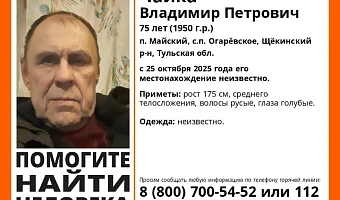 В Тульской области пропал пожилой мужчина